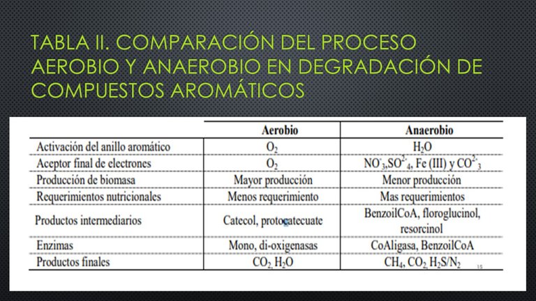 Diapositiva15.JPG