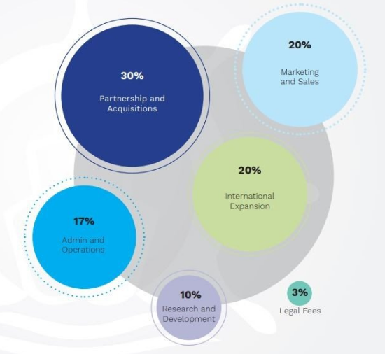 Token allocation.PNG