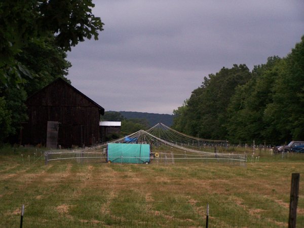 New pasture pen up crop June 2016.jpg