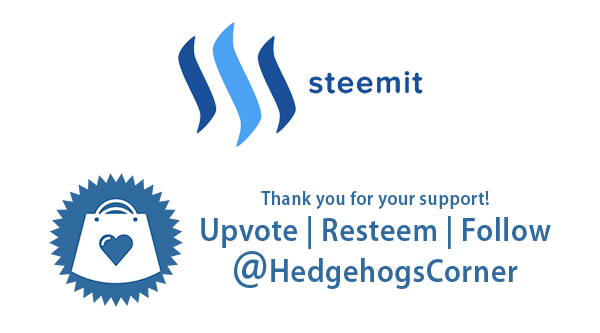 Steemit_ThankYouFooter_HedgehogsCorner.png