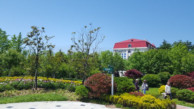 20180526_104329.jpg