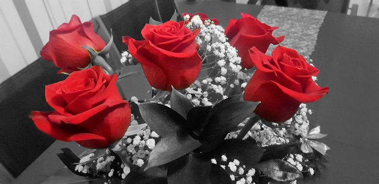 rosas rojas.jpg