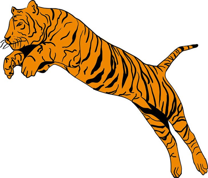 7512060-tiger-2220292_640-1542207918-728-e1eeb287dc-1542373863.jpg