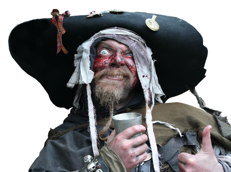 pirate-2824253_960_720.png