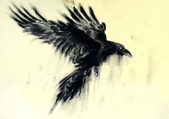 crow-drawing-crow-drawing-flying-crow-original-charcoal-drawing-crow-drawing-tattoo.jpg