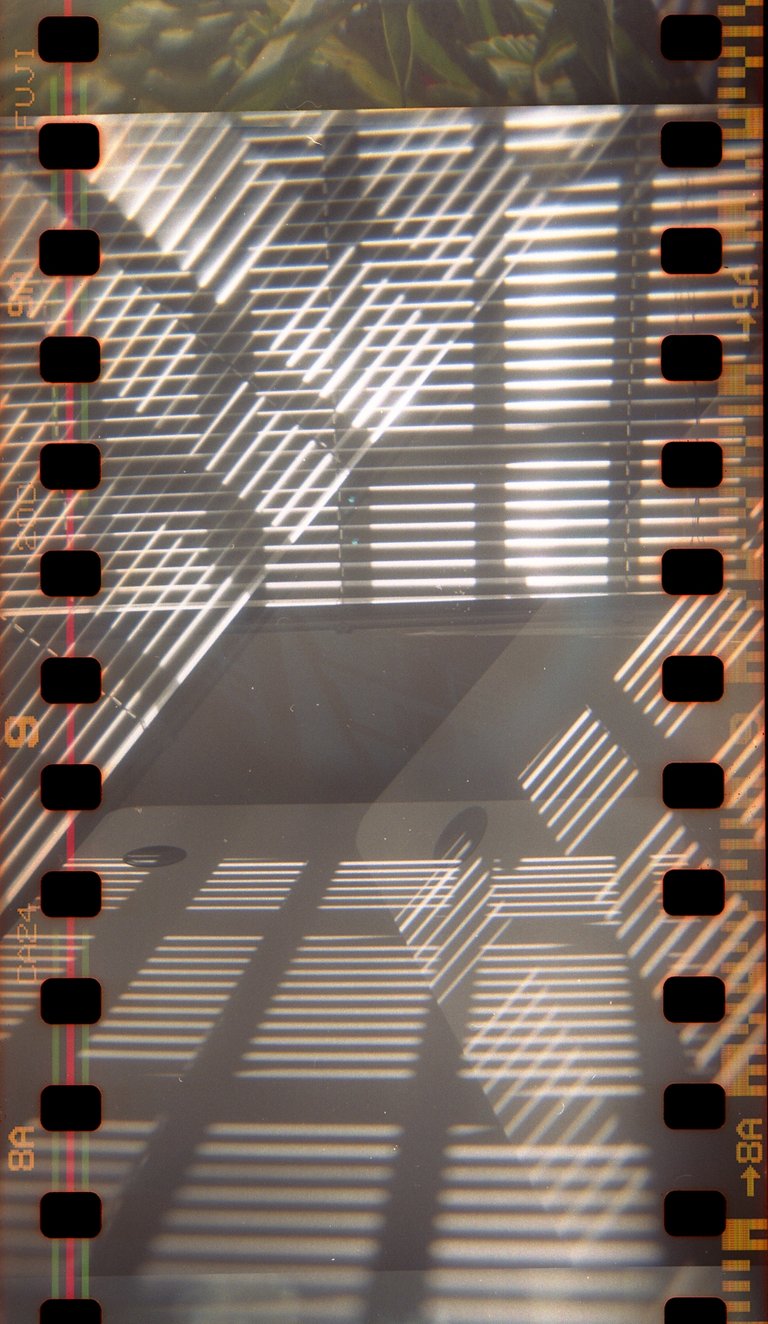 HOLGA-TUBO-EFA012.jpg