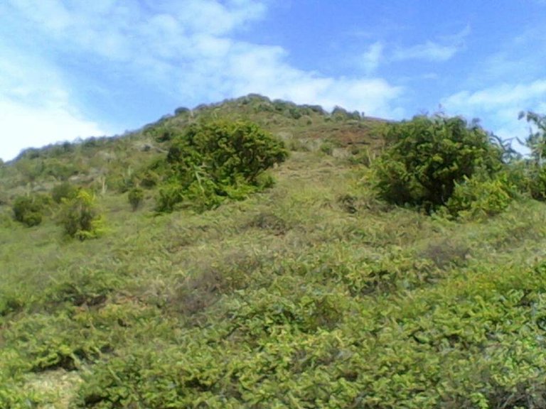 cerro de las cabras.jpg