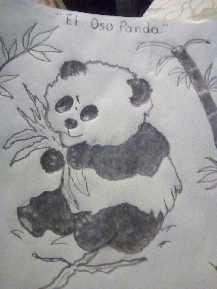 panda4.jpg