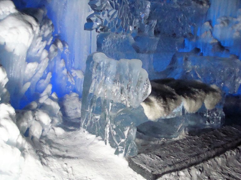 DSC02833.JPG