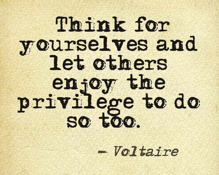 07d72c9f3ce77174c2e3015a1fe767ad--voltaire-quotes-story-quotes.jpg