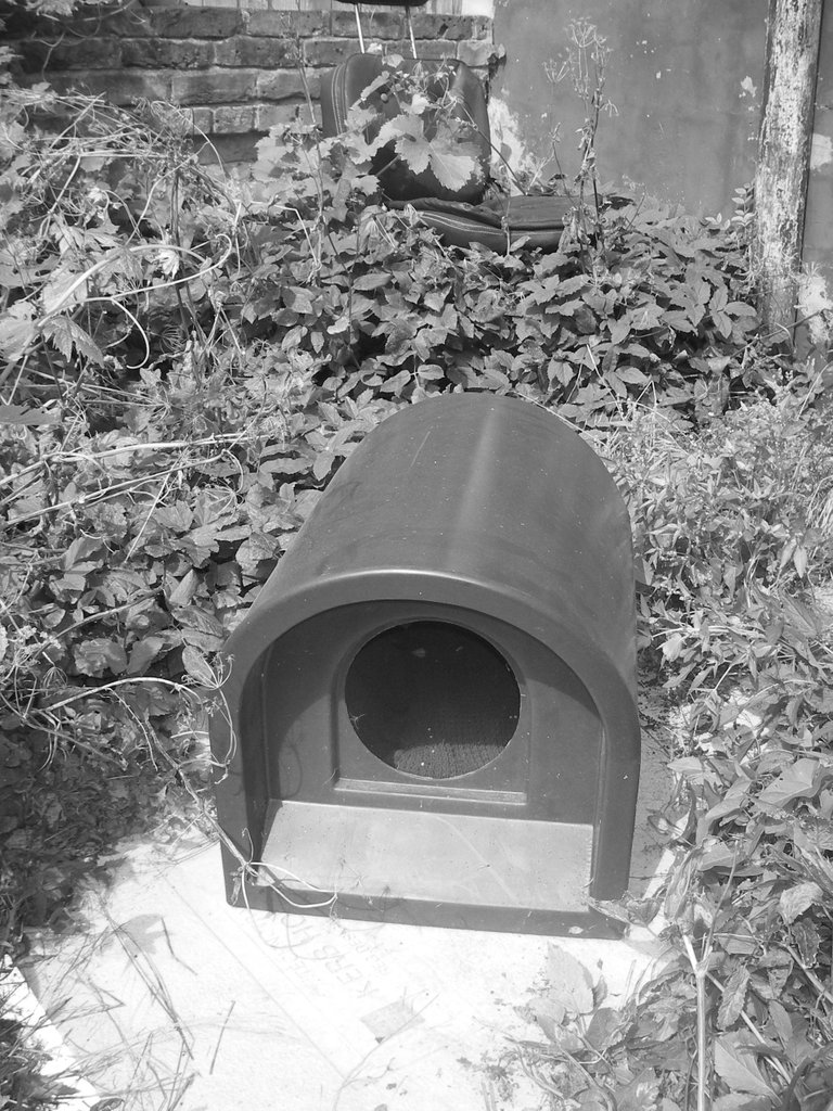 cat kennel grey scale.jpg