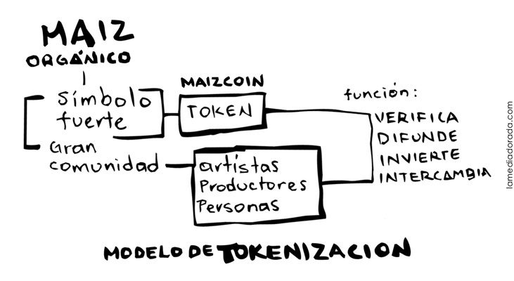 modelo-de-tokenizacion-MAIZCOIN.jpg