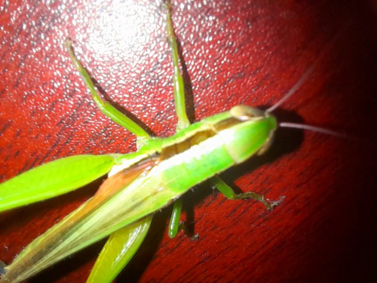 20230613_222318.jpg