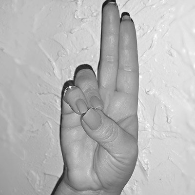 Prana-mudra.jpg