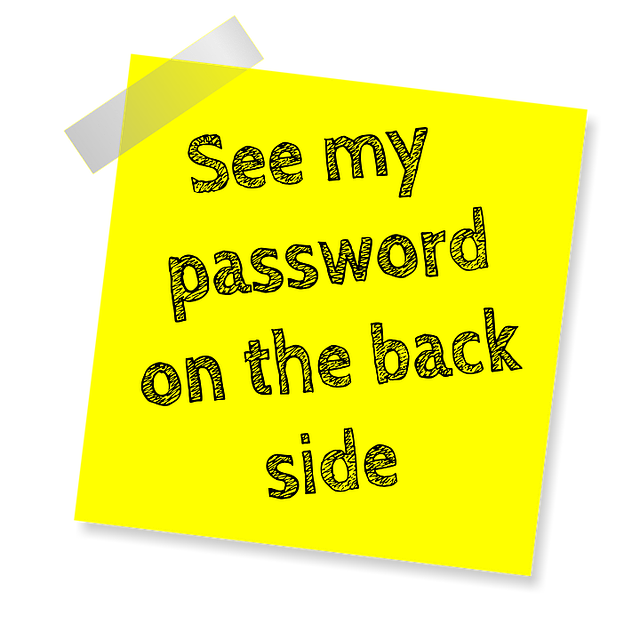 How To Be Healthy Paranoid password-1433096_640.png