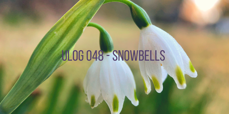 ULOG 048 - Snowbells