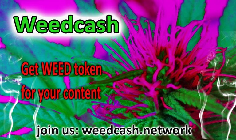 weedcash first2dwsdwdwwsws.jpg