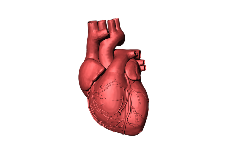 heart-1765298_1920.png