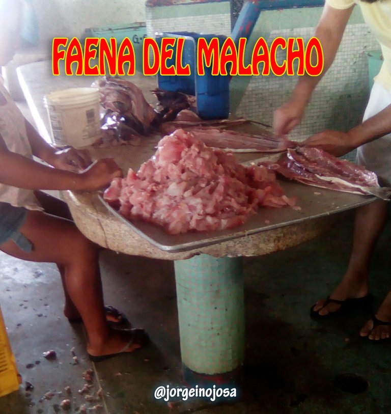 FAENA DEL MALACHO 1.jpg