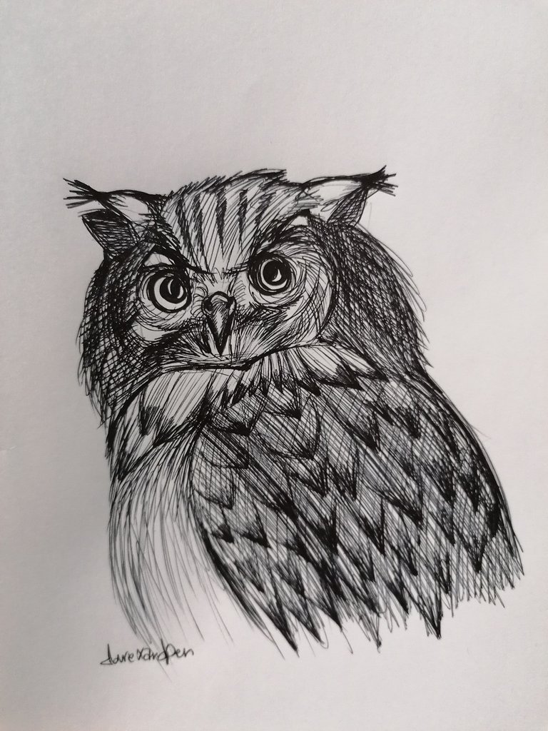 owl pen (8).jpg