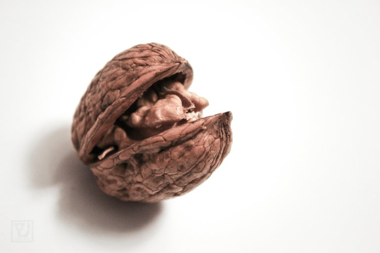 walnut (1 of 1).JPG