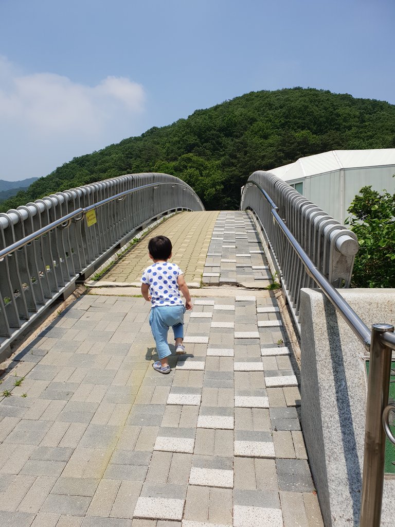 20180606_120416.jpg