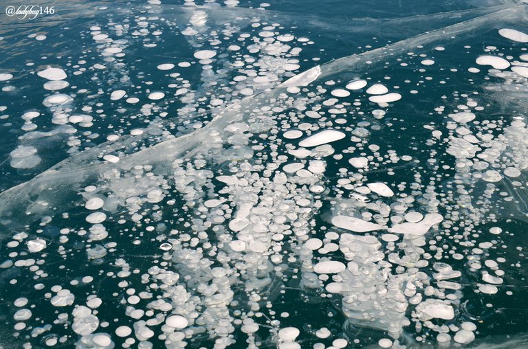 abraham lake2 (1).jpg