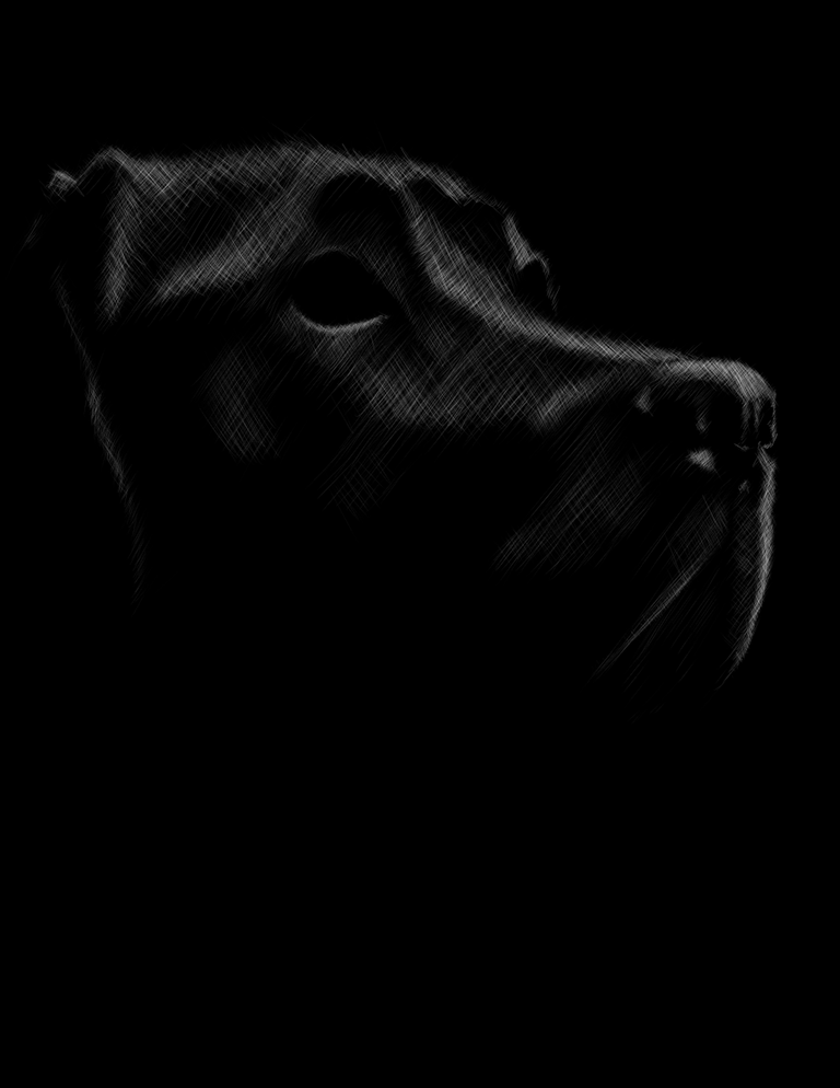 oogy6.png
