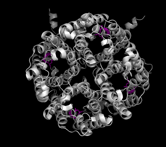 Aquaporinmedium-molecule_for _Narrative.png