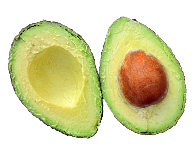 avocado-937459_640.png