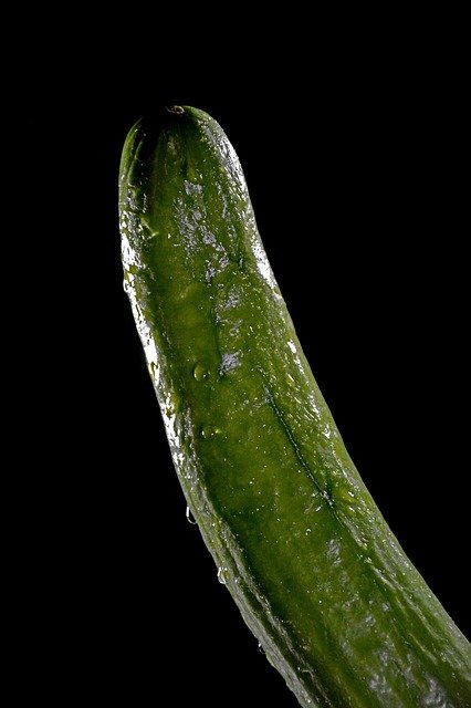 cucumber-3163704_640.jpg