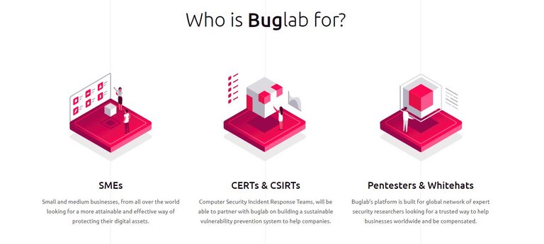 who is bug lab for.JPG