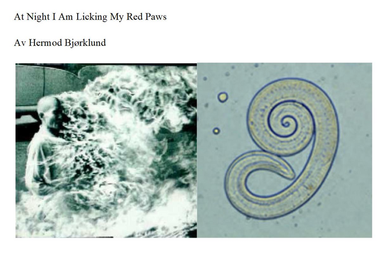 AtNightIamLickingMyRedPaws.png