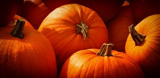 pumpkins-3726919_640.jpg