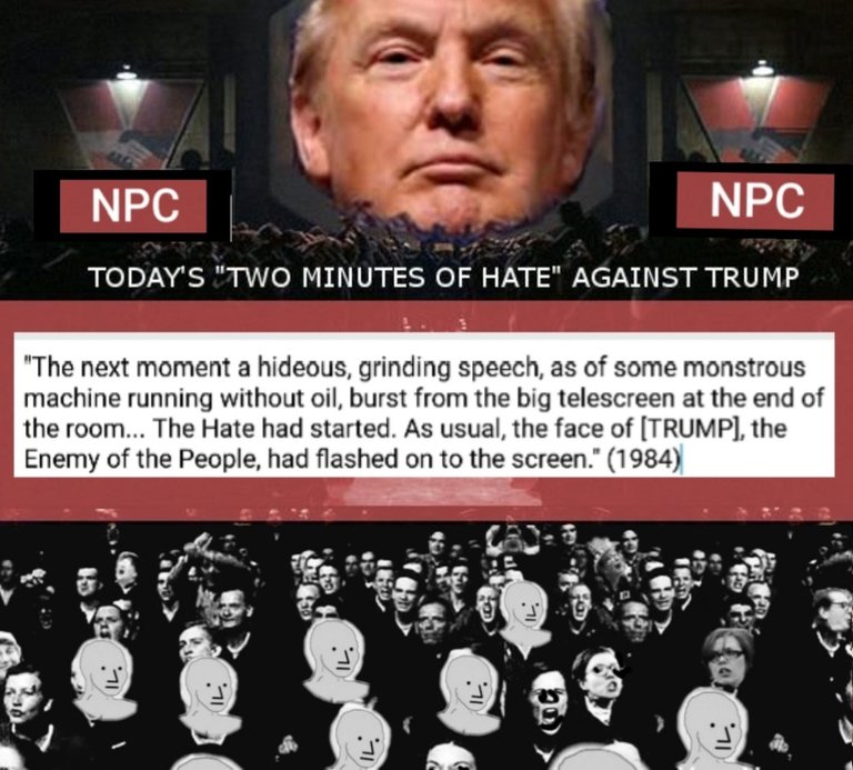 NPC Trump 1984 bb-5bc9e4618347e.jpeg