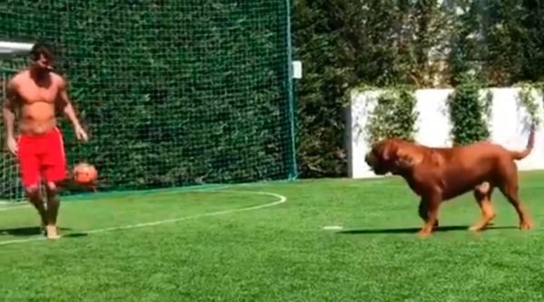 messi-_perro-_mini.jpg_1718483347.jpg