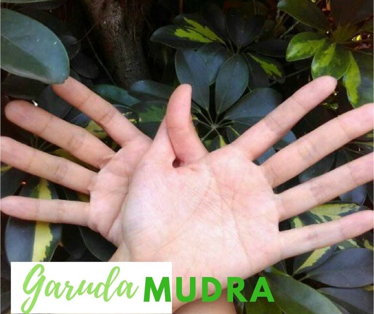 Garuda Mudra.jpg