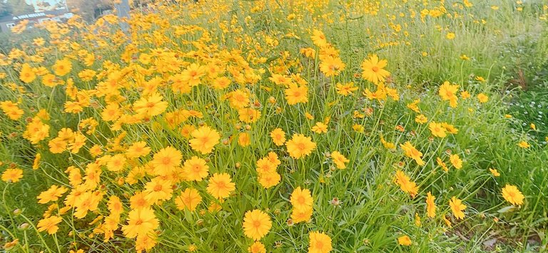 KakaoTalk_20250625_213621339_01.jpg