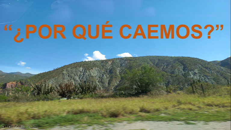 Captura de pantalla (1376).png