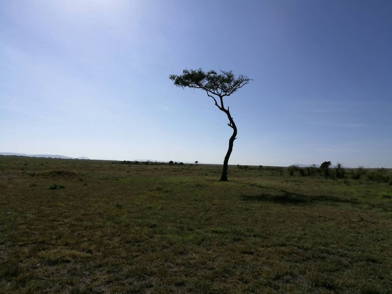 Maasai National Reserve31.jpg