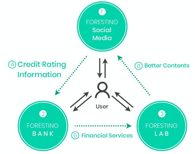 FORESTING Network Value Chain.jpg