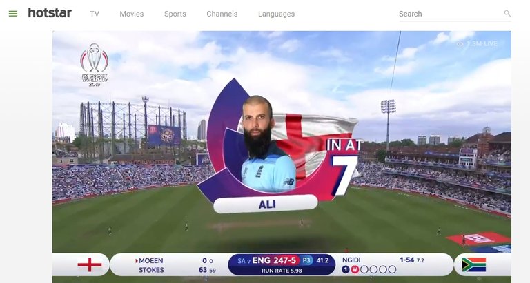 the cricket world cup 2019.jpg