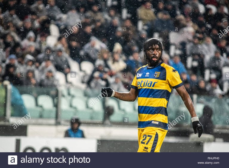 turin-italy-02nd-feb-2019-gervinho-of-parma-during-the-football-serie-a-match-juventus-fc-vs-parma-the-final-score-was-3-3-at-the-allianz-stadium-in-turin-credit-alberto-gandolfopacific-pressalamy-live-news-RHJPH0.jpg