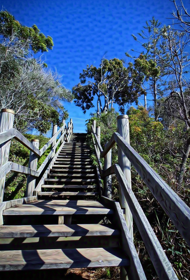 Steps to Beach Scarborough. Oil.png