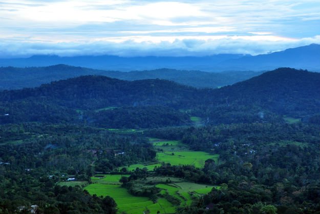 coorg.jpg