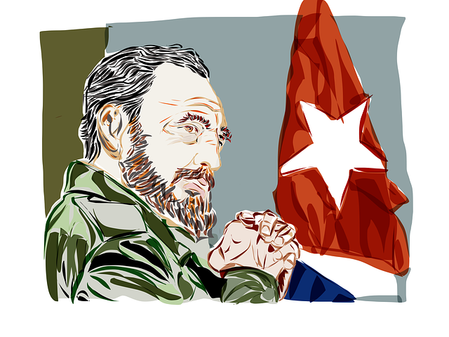 fidel-1882226_640.png