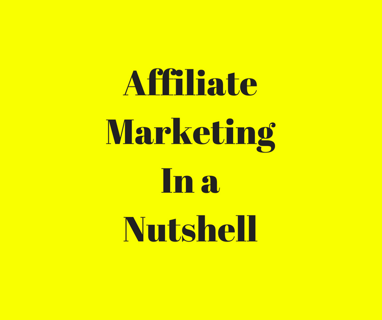 AffiliateMarketingIn aNutshell.png