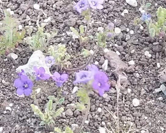 20190327_183010.jpg