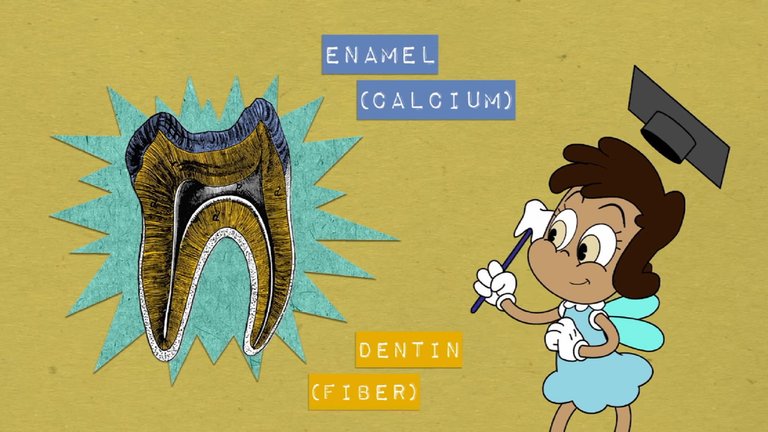 How did teeth evolve- - Peter S. Ungar - YouTube_20180728094406.JPG