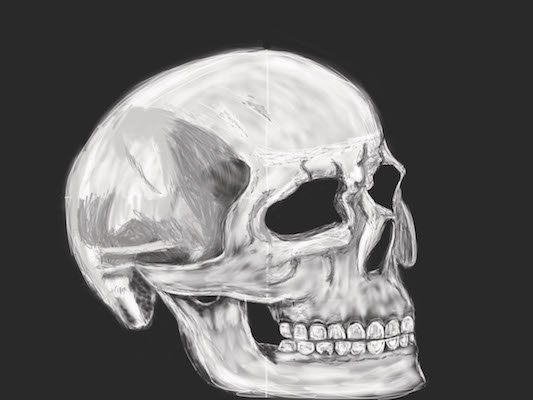 skull.jpg